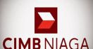 Kembangkan IT, CIMB Niaga Siapkan Capex USD 100 Juta - JPNN.com