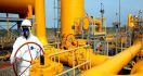 Dorong Konsumsi Gas Bumi, PGN Incar Kawasan Industri - JPNN.com