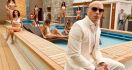 Pitbull Batal Konser di Jakarta - JPNN.com