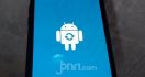 Android Go 12 Bikin Hp Murah Makin Maksimal - JPNN.com