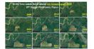 KLHK Mengklarifikasi Foto Satelit NASA Menggambarkan Kegundulan Hutan Papua - JPNN.com