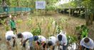 Lewat DonaTree VIRAL Challenge, Pupuk Indonesia Bakal Tanam 5.500 Bibit Mangrove - JPNN.com