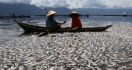 200 Ton Ikan Mati Mendadak di Danau Maninjau, Ini Penyebabnya - JPNN.com