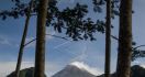 Merapi Mengalami 161 Kali Gempa Guguran, Statusnya Masih Siaga - JPNN.com