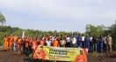 Sambut HUT ke-50, Basarnas Maumere Gelar Aksi Penanaman Mangrove - JPNN.com