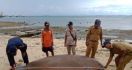 Seekor Dugong Ditemukan Mati di Perairan Pulau Morotai - JPNN.com