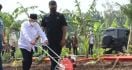 Wapres Ma'ruf Amin Ajak Masyarakat Manfaatkan Bertani Gunakan Konsep Ini - JPNN.com