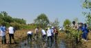 18 Ribu Bibit Mangrove Ditanam di Pandeglang, Ini Visi Misi KEHATI dan ASC - JPNN.com