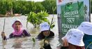 Atasi Abrasi, SIP Gandeng BWA Tanam 5.000 Bibit Mangrove - JPNN.com