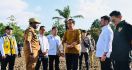 Presiden Jokowi Kick Off Food Estate di Papua, Siapkan Lahan Jagung 10 Ribu Hektare - JPNN.com