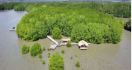 MPMX Lanjutkan Rehabilitasi Mangrove di NTT - JPNN.com