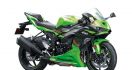 Kawasaki Ninja ZX-6R KRT Edition Hadir di Indonesia, Harganya Rp 300 Jutaan - JPNN.com