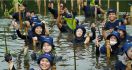 Hari Mangrove Sedunia, AIS Forum Gelar Penanaman Mangrove di Indonesia dan Dominika - JPNN.com