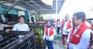 Cek Penyaluran LPG 3 Kg di Palembang, Dirut Pertamina Pastikan Tidak Terjadi Kelangkaan - JPNN.com