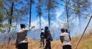 Hutan Pinus Malino di Gowa Terbakar, Begini Kondisinya - JPNN.com