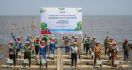 Pertamina Trans Kontinental Gelar Green Mangrove Action Program di Makassar - JPNN.com