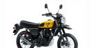 Kawasaki W175TR 2024 Punya Warna Baru, Sebegini Harganya - JPNN.com