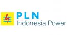 Jaga Sustainability Cofiring PLTU, PLN Indonesia Power Bangun Ekosistem Biomassa - JPNN.com