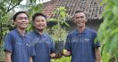 Lebih 6 Juta Pohon Ditanam Lewat Program Hutan Pertamina, Ini Daerah Sebarannya - JPNN.com