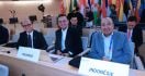 Pemilihan Anggota GB ILO 2024-2027: Indonesia Tentukan Arah Ketenagakerjaan Dunia - JPNN.com
