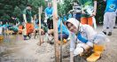 Weda Bay Project Tanam Satu Juta Mangrove di Maluku Utara - JPNN.com