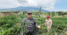 Gandeng Unas, Kementan Kembangkan Kampung Hortikultura Ramah Lingkungan di Sukabumi - JPNN.com