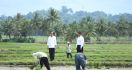 Presiden Jokowi Tinjau Pompanisasi Sawah Tadah Hujan di Bone, Petani Ucap Syukur - JPNN.com