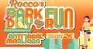 Rocco’s Bark Day Fun Run Bakal Digelar, Pencinta Anjing Merapat - JPNN.com