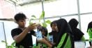 Cara Unik BRI Peringati Hari Anak Nasional, Ajak Murid SD Belajar Tanam Hidroponik - JPNN.com