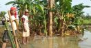 Sawah Terendam Banjir, Petani Lampura Gagal Panen - JPNN.com