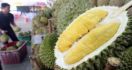 Peneliti Singapura Ungkap Rahasia Bau Menyengat Durian - JPNN.com