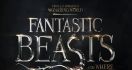 Yang Baru dan Kembali di Sekuel Fantastic Beasts and Where to Find Them - JPNN.com