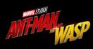 Ant-Man and the Wasp Tayang Hari Ini - JPNN.com