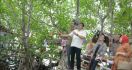 Hutan Mangrove Mamuju Terawat dengan Baik - JPNN.com