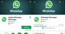 Muncul WhatsApp Palsu, Google dan Sejuta Pengguna Tertipu - JPNN.com