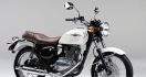 Kawasaki W175, Jawaban Kerinduan Penggemar Klasik Retro - JPNN.com