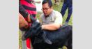 PDIP Borong Kambing Kejobong Hasil Kelompok Tani Ngudidadi - JPNN.com