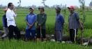 Presiden dan Petani pun Tertawa di Sawah - JPNN.com