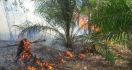 31 Ha Kebun Sawit Terbakar, Pessel Diselimuti Kepulan Asap - JPNN.com