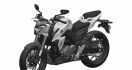 Berspekulasi Motor China ke Cikal Bakal Suzuki GSX-S250 - JPNN.com