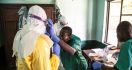 Ebola Kembali Menebar Maut di Afrika - JPNN.com