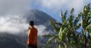 Semoga Lutung Hitam tidak Turun dari Lereng Gunung Merapi - JPNN.com