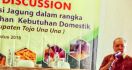 Produksi Melimpah, Kementan Dorong Ekspor Jagung Sulteng - JPNN.com