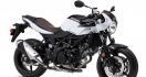 Suzuki SV650X Kental Aura Retro, Harga Rp 126 Juta - JPNN.com