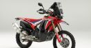 Konsep Honda CRF450L Rally Diam-diam Goda EICMA 2018 - JPNN.com