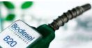 Gaikindo: Di Bidang Biodiesel, Indonesia Terdepan - JPNN.com