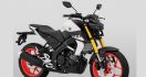 Tanpa Seremoni, Yamaha MT-15 Mengaspal dengan Harga Rp 34,9 Juta - JPNN.com