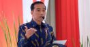 Presiden Jokowi Merespons Persoalan Keramba Jaring Apung di Danau Toba - JPNN.com