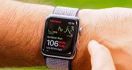 Penjualan Smartwatch Apple Naik 44 Persen - JPNN.com