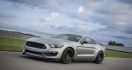 Menilik Kegagahan Ford Mustang Shelby GT350R - JPNN.com